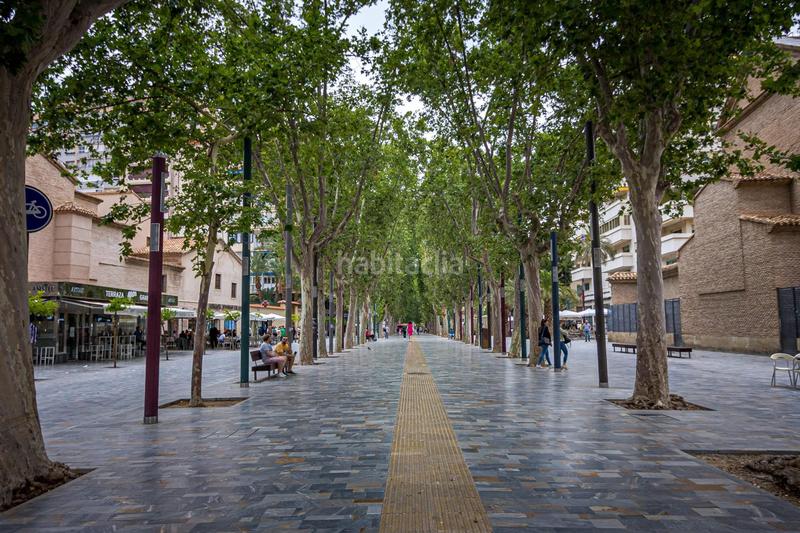 Foto 09d08659-bec6-42ae-a39d-393455d5d0d3. Pis a plaza circular a San Miguel Murcia