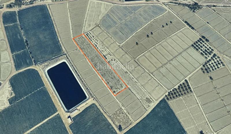 Foto 24b23540-fa14-499e-8640-631129f52cb5. Fondo rustico in Totana