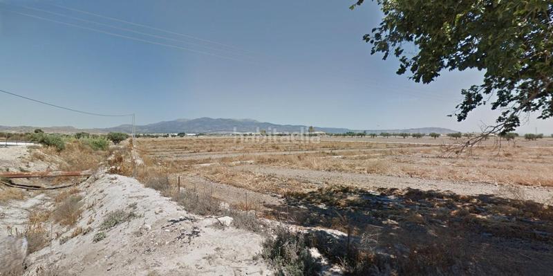 Foto c8d28932-df92-4457-92e5-9815cbb96d9f. Fondo rustico in Totana