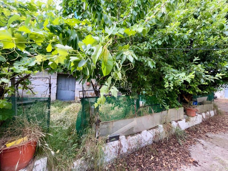 Foto a3080100-38ee-472d-971a-05b1d359e6a8. Casa amb aparcament piscina a Monterrubio de Armuña