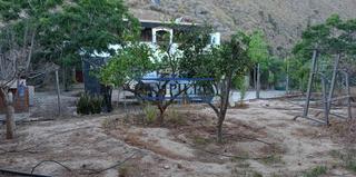 Mas à Adra. Se vende cortijo con terreno en guainos