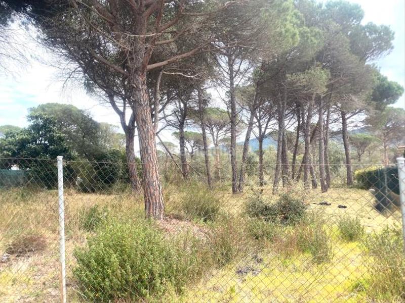 Foto 74cfd0a6-de96-4aa0-a574-7c784b7f9fb5. Terreno residenziale in La Goba Vidreres