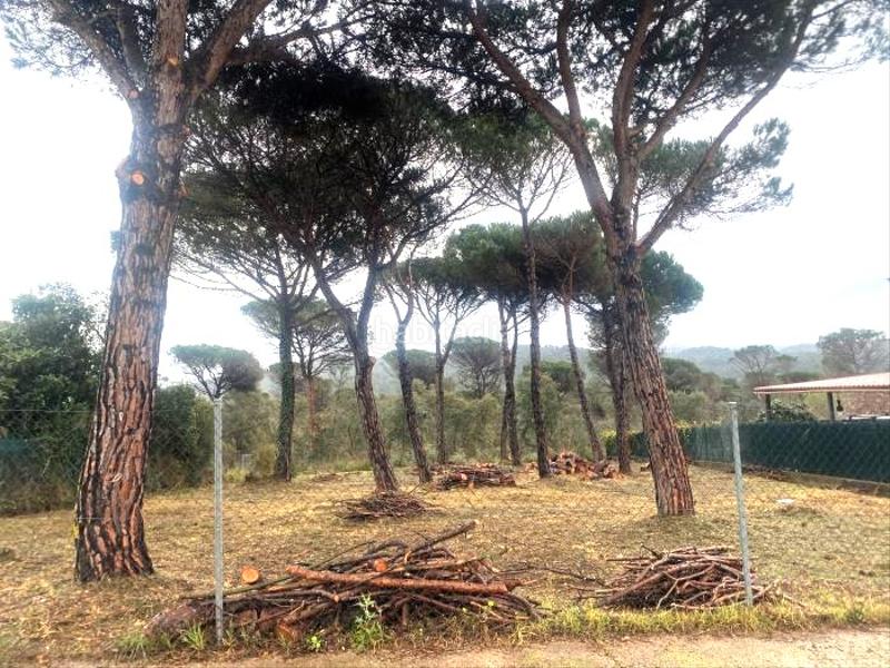 Foto 789a3a2f-a105-46ac-83d6-e31f14812b8d. Terreno residenziale in La Goba Vidreres