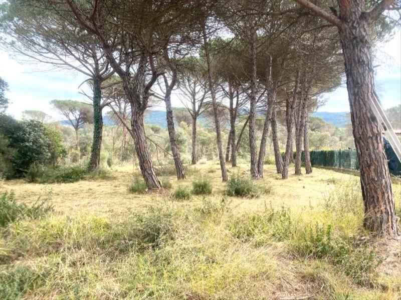 Foto e525f8b8-5be3-4479-80b2-707aa65582ef. Terreno residenziale in La Goba Vidreres