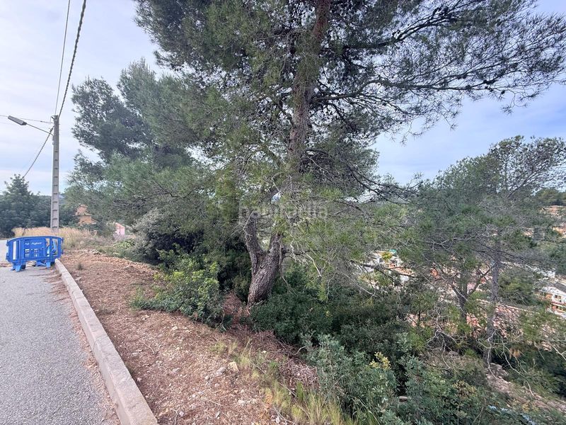 Foto b8331f94-ecae-4271-a756-231b7cad5626. Terreny residencial a Olivella
