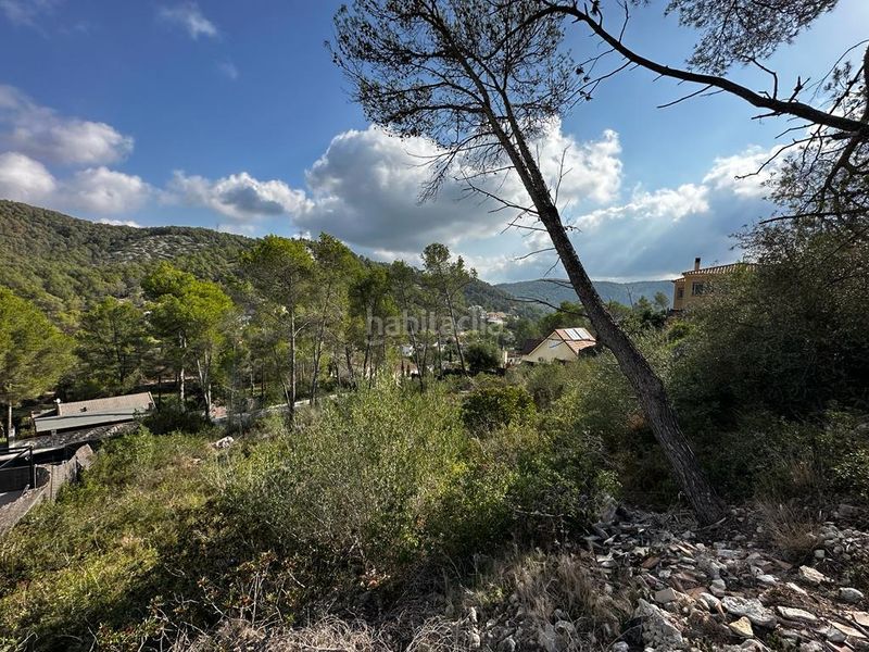 Foto e1dc74dd-e48a-4798-ba52-7f0031b56224. Terreny residencial a Olivella