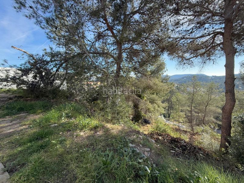 Foto b5237e0f-c8fe-4f0b-bd52-5aa40a6230a2. Terreny residencial a Olivella