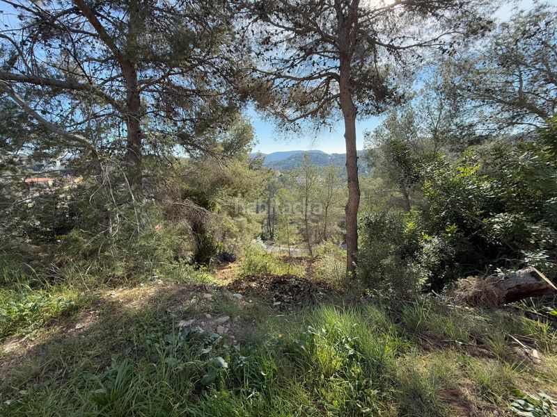 Foto d3bff806-3640-4f2d-8fa9-5900b3aa83e8. Terreny residencial a Olivella