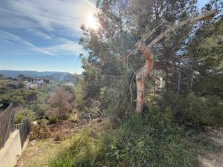 Residential Plot in Olivella