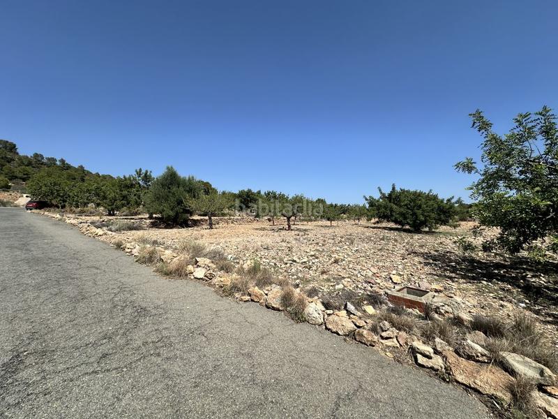 Foto 0523393e-7faa-460d-bf82-ad2098a5aee8. Residential plot in Alfara de Algimia