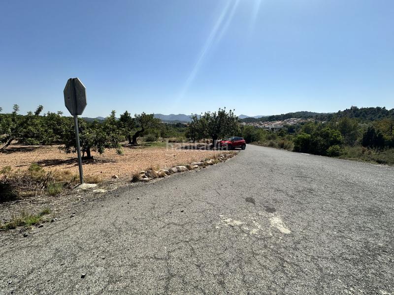 Foto 06a12068-ffc3-4428-9547-5bdf6d232b6e. Residential plot in Alfara de Algimia