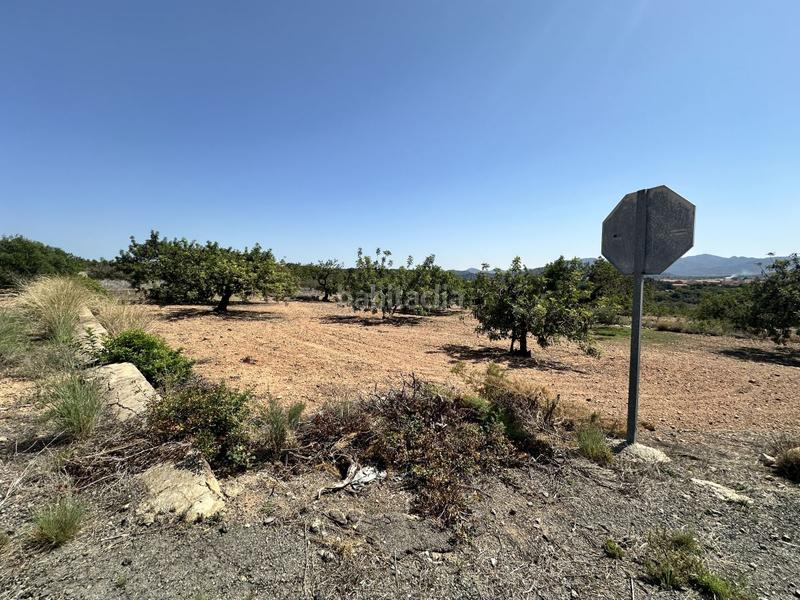 Foto 1f2cf954-1f25-4895-91a4-d9d9a4a28e6e. Residential plot in Alfara de Algimia