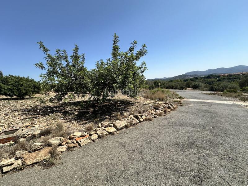 Foto 28341ad3-2804-4e4a-be10-5a0562c568f6. Residential plot in Alfara de Algimia