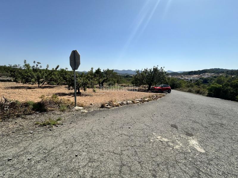 Foto 2add4f18-22ad-4f42-a54d-4c054e811594. Residential plot in Alfara de Algimia