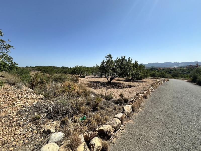 Foto 31ca37e5-2c50-47d5-abb8-170079f54697. Residential plot in Alfara de Algimia