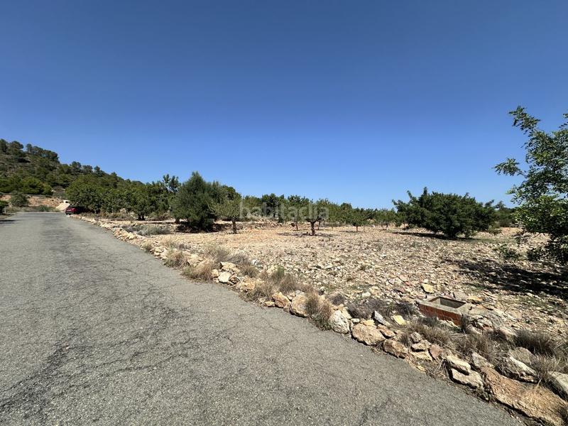 Foto 41017a44-5bcf-41aa-b50c-c42ddbcaf20c. Residential plot in Alfara de Algimia