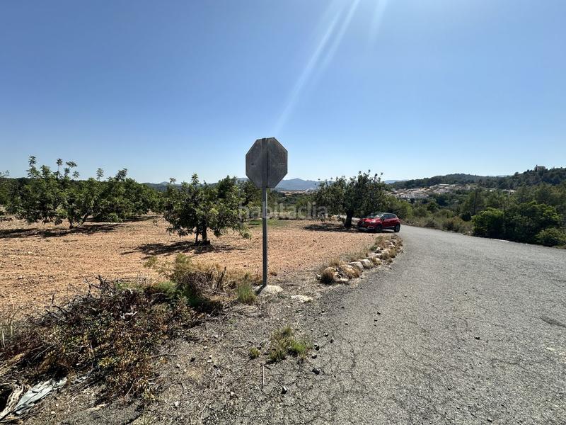 Foto 47debe07-c852-4f34-92c0-85caeab19965. Residential plot in Alfara de Algimia