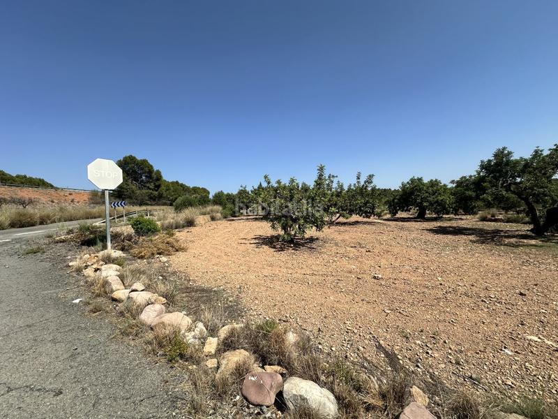 Foto 559f418a-fee5-430c-b228-b8aeab4c15fc. Residential plot in Alfara de Algimia