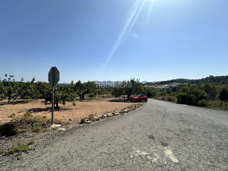 Foto 55c07bc7-8328-45c6-9d59-3c670c39ed98. Residential plot in Alfara de Algimia