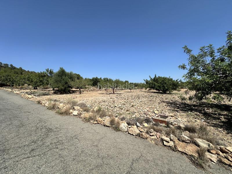 Foto 5b7b455c-ab71-4d16-977c-cb0788a2b6eb. Residential plot in Alfara de Algimia