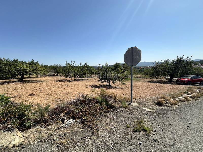 Foto 61215571-2b19-4340-8f46-8e67f48ea4bd. Residential plot in Alfara de Algimia
