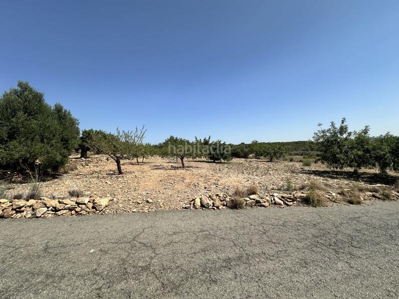 Foto 6c420239-1e50-474c-b628-5fa1a1a66b6d. Residential plot in Alfara de Algimia