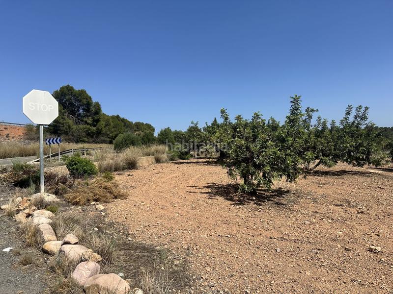 Foto 936935b7-02c9-436c-9cb7-2fb41f6b9937. Residential plot in Alfara de Algimia