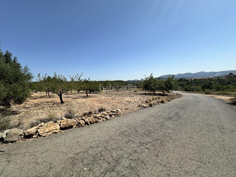 Foto a546c9dd-fedd-4ac5-aa75-b02a58796c53. Residential plot in Alfara de Algimia