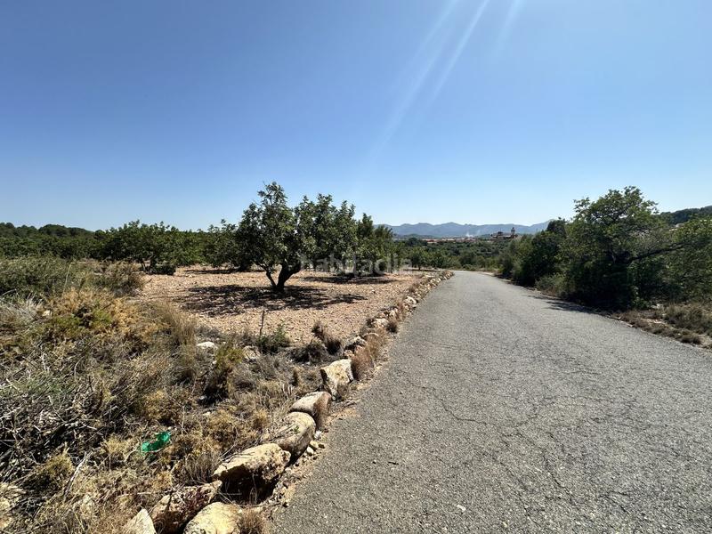 Foto a655c44f-c71b-4aca-b993-ff26d4ed5372. Residential plot in Alfara de Algimia