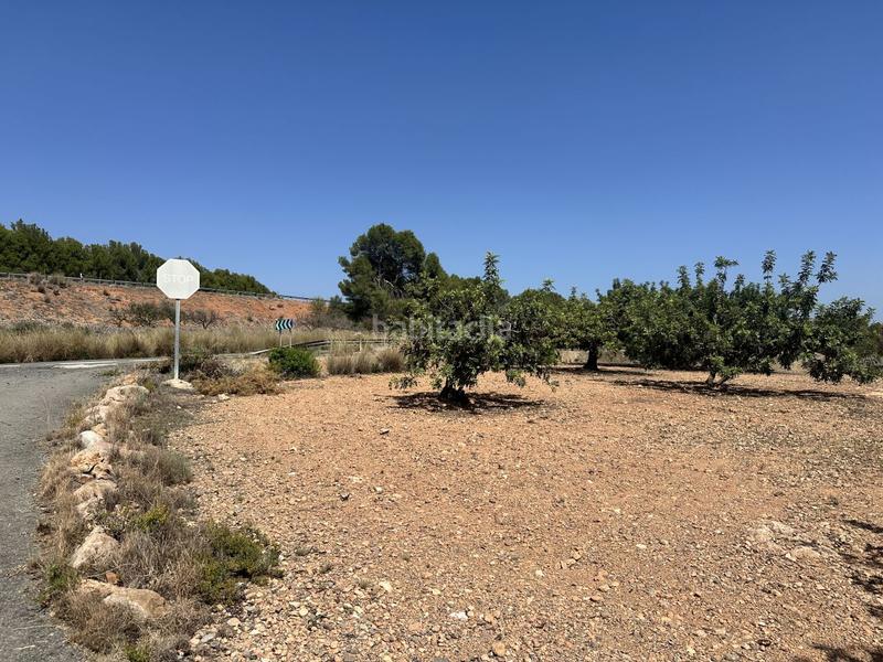 Foto ca9ae5f6-bd53-4209-909e-dc05e9565900. Residential plot in Alfara de Algimia