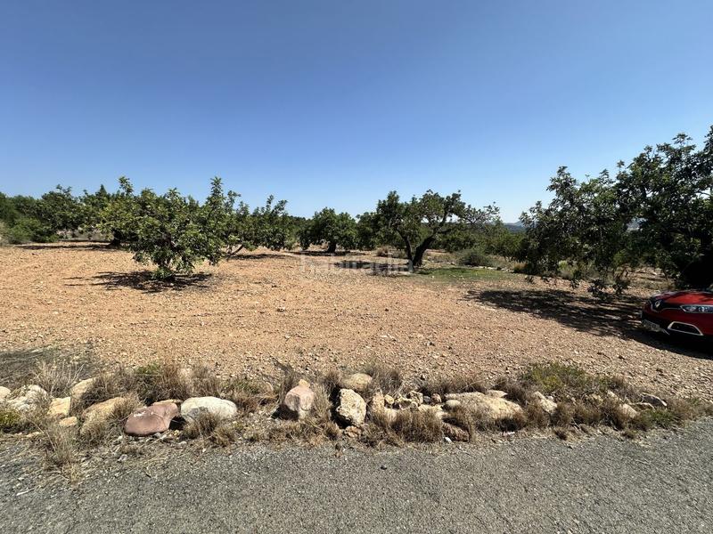 Foto cc59164a-0a80-4c14-a724-30ff49e1113b. Residential plot in Alfara de Algimia