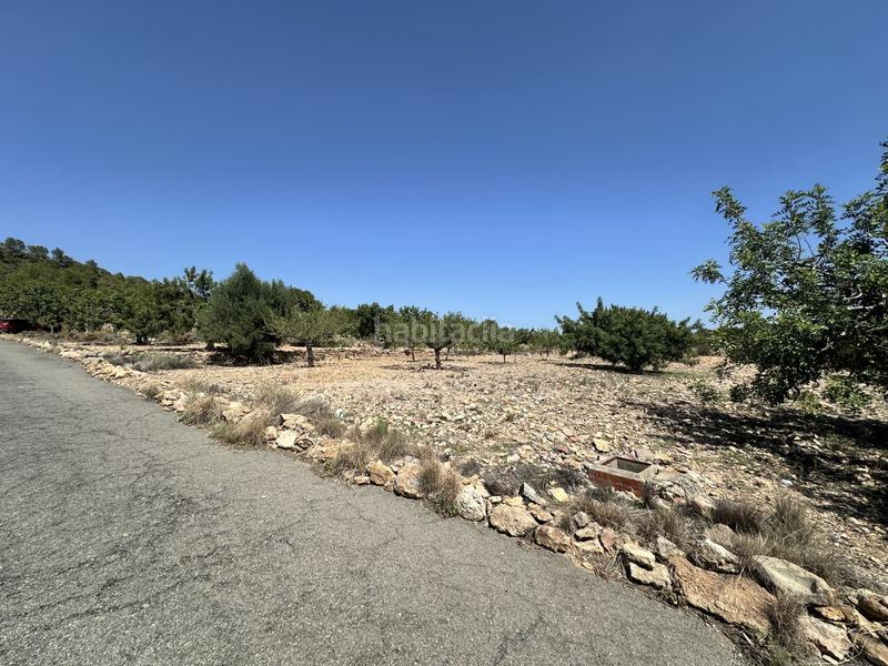 Foto d98ca001-a5c6-4427-a6d0-37b0ddff5fc0. Residential plot in Alfara de Algimia