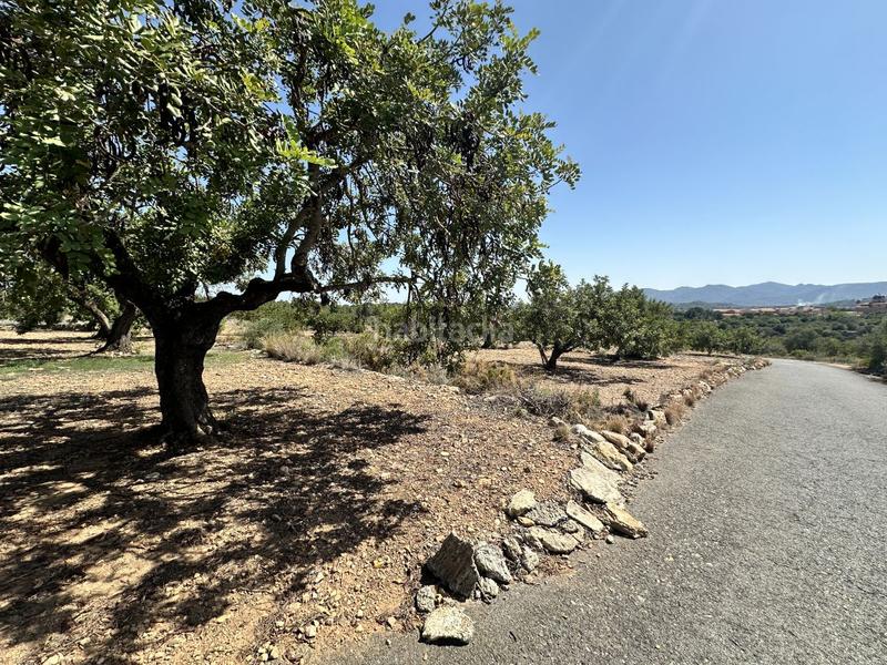 Foto da7e060d-f13b-45b7-a89a-3245cfef6e03. Residential plot in Alfara de Algimia