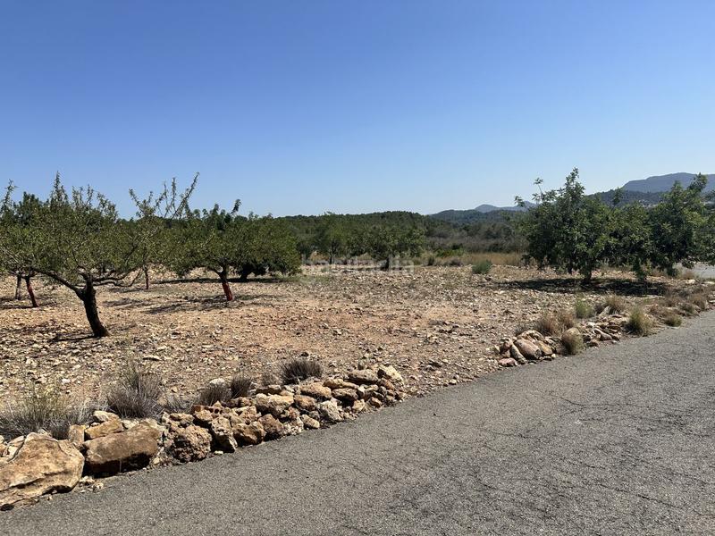 Foto f6fcad33-0a66-4853-85fd-ca0c28b34d6a. Residential plot in Alfara de Algimia