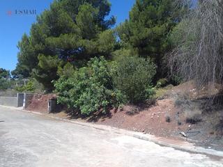 Finca rústica a Torres Torres. Parc.urbana en venta en torres torres.