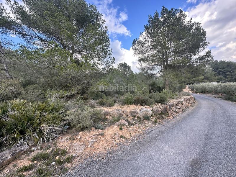 Foto 2b2df0b5-6a0f-48a2-9512-3ab4fd5b1966. Residential plot in Alfara de Algimia