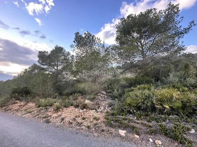 Foto 40560e7c-afc2-4c34-81d6-947c85245034. Residential plot in Alfara de Algimia