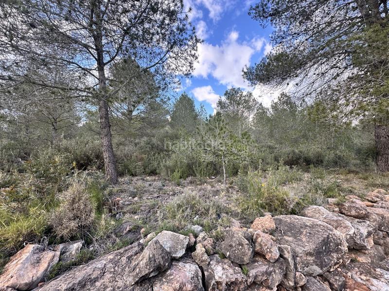 Foto 44bf60d0-ab98-4fd1-9347-89aae0d7177b. Residential plot in Alfara de Algimia