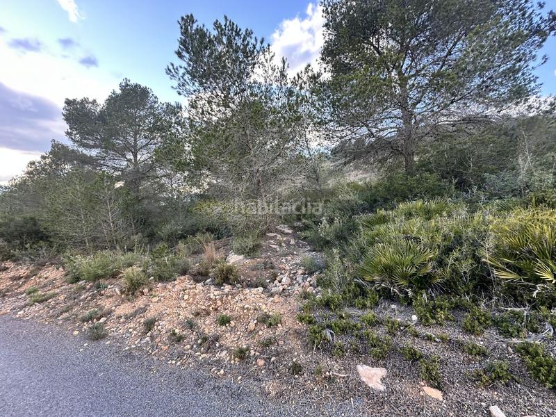 Foto 8e59ddae-90d5-4923-879b-5c55bf215a5f. Residential plot in Alfara de Algimia