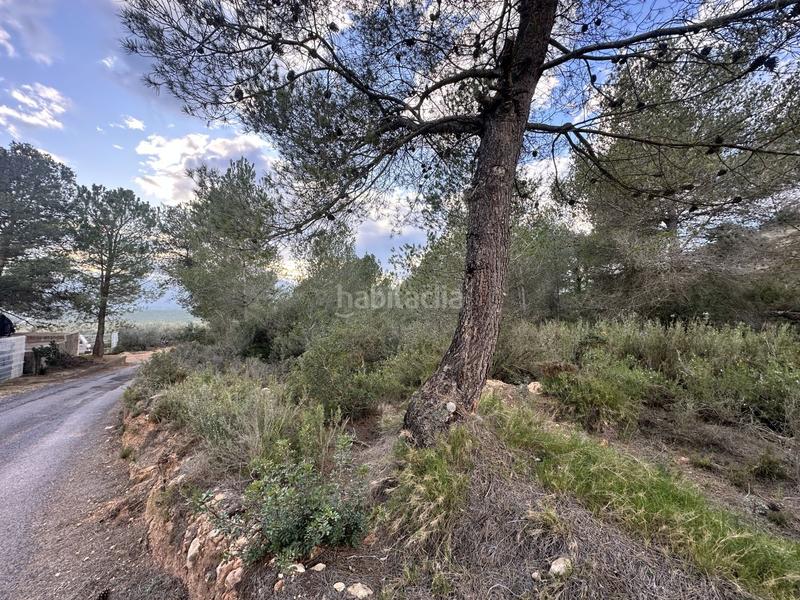 Foto 9c4546e7-6726-4ca9-a28e-650589e23486. Residential plot in Alfara de Algimia