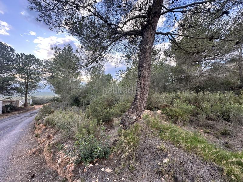Foto b0191960-9059-4444-831b-c3941175f2dd. Residential plot in Alfara de Algimia