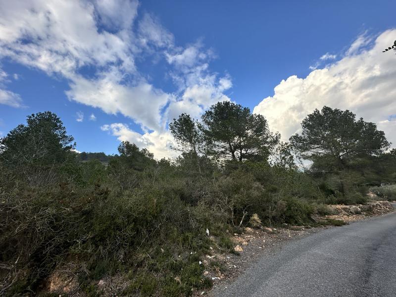 Foto b193c535-0507-4cd3-b2d8-30c5c6d8ef17. Residential plot in Alfara de Algimia