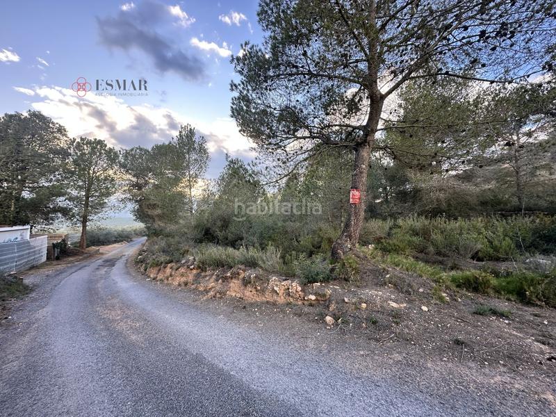 Foto ba9316d7-c652-4fd9-beb6-4981dc2547e3. Residential plot in Alfara de Algimia