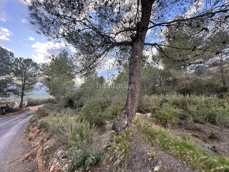 Foto c75ee262-82c0-4621-860d-651805e3dd72. Residential plot in Alfara de Algimia