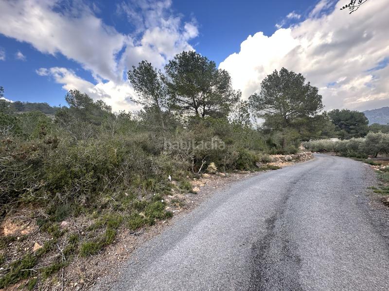 Foto cc0faa97-b722-4c27-b7be-6fbea5a48500. Residential plot in Alfara de Algimia