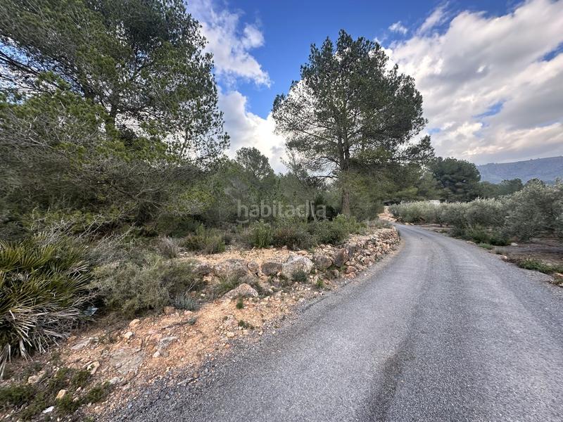 Foto d7907d30-3cc3-4824-a7c7-0e16b13539d3. Residential plot in Alfara de Algimia