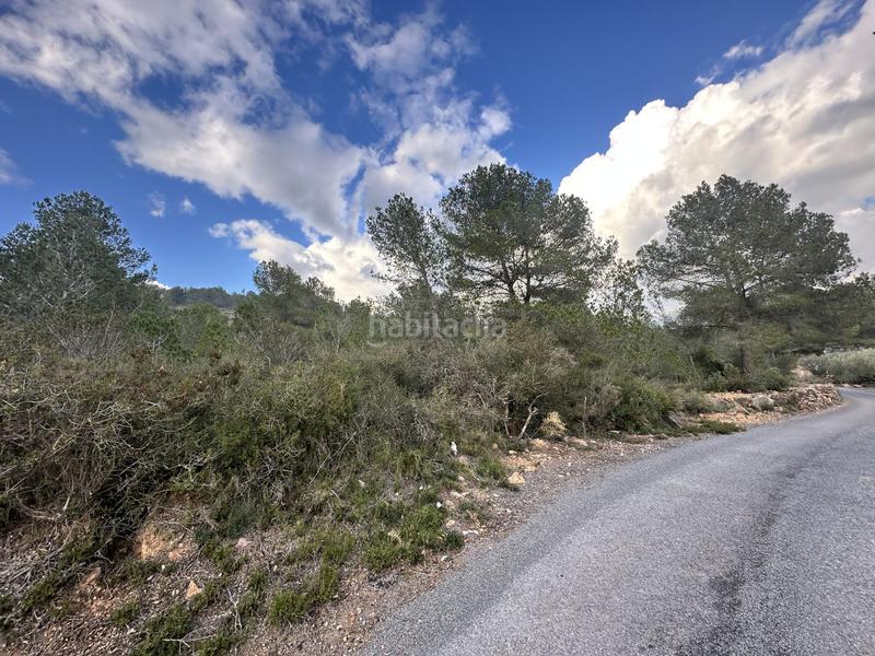 Foto d9742513-d8f6-436b-9ed7-c3fa2738a4c0. Residential plot in Alfara de Algimia