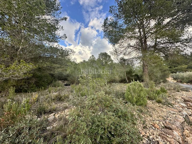 Foto f429875f-e44b-4bd3-9f94-3423bc9da3df. Residential plot in Alfara de Algimia