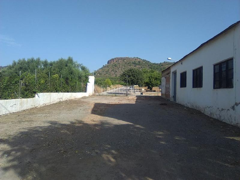 Foto 7635a46e-86a4-4d4b-8f38-1bb3c930e02d. Terreny residencial a Algímia de Alfara