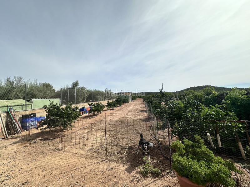 Foto a0185db2-6fd2-4e81-86d0-194ff181cc52. Residential plot in Torres Torres